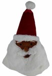 SANTA HAT