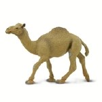 DROMEDARY CAMEL