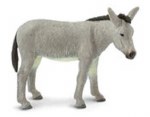 DONKEY
