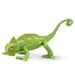 VEILED CHAMELEON BABY