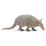 ARMADILLO