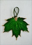 SUGAR MAPLE LEAF GREEN