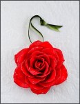 RED ROSE