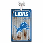 DETROIT LIONS