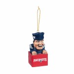 NEW ENGLAND PATRIOTS MASCOT