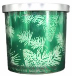 SPICED CHEER CANDLE