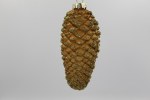 PINECONE