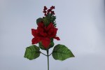POINTSETTIA MIX PICK