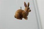 BROWN RABBIT