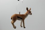 THOMSON GAZELLE CALF