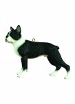 BOSTON TERRIER