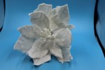 WHITE VELVET POINTSETTIA