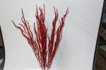 RED SPRAY