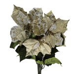 GOLD/WHITE POINTSETTIA