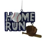 HOME RUN