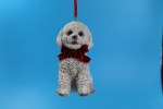 BICHON FRISE DOG