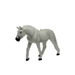 LIPIZZANER STALLION