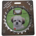 SHIHPOO MAGNET