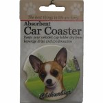 CHIHUAHUA CAR COASTER