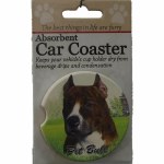 PIT BULL CAR COASTER