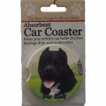 BLK PIT BULL CAR COASTER