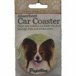 PAPILLON CAR COASTER