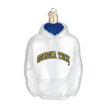 GEORGIA TECH HOODIE OLD WORLD