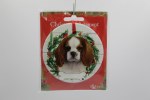 KING CHARLES CAVALIER HEAD