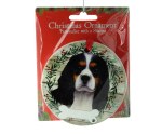 KING CHARLES CAVALIER