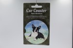 BOSTON TERRIER
