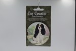 CAVALIER KING CHARLES