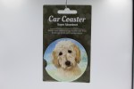 GOLDENDOODLE