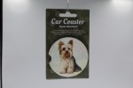 YORKIE