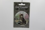 MAINE COON CAR COASTER