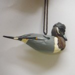 JASE PINTAIL DUCK