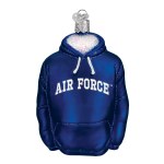 OLD WORLD AIR FORCE HOODIE