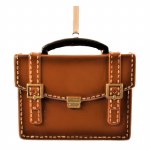 BRIEF CASE