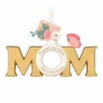 MOM'S LOVE