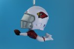 ARIZONA CARDINALS