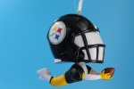 PITTSBURG STEELERS