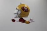 SAN FRANCISCO 49ERS