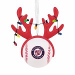 WASHINGTON NATIONALS