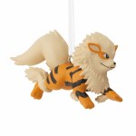 ARCANINE POKEMON