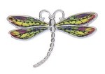 FAITH DRAGONFLY