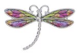 DREAM DRAGONFLY