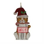 SANTA'S PET CAT