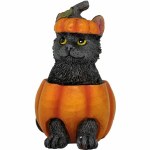 PUMPKIN BLACK CAT