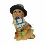 YELLOW CAT WITH HAT