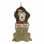 SANTA PAWS BROWN DOG