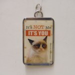 GRUMPY CAT ITS NOT ME ITS YOU